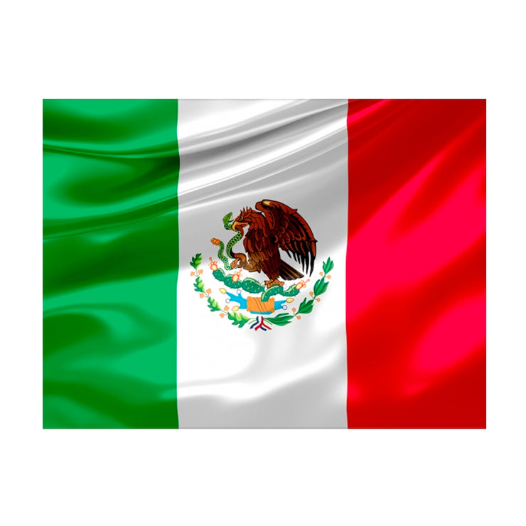 Bronze Baboon Wholesale Mexican Flag 2.5" x 3.5" Magnet